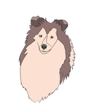 bir köpek portre profil, vektör, beyaz arka plan aşağı, bak