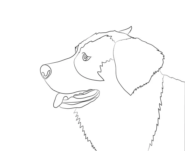 Портрет Собаки Линии Вектор Белый Фон — стоковый вектор
