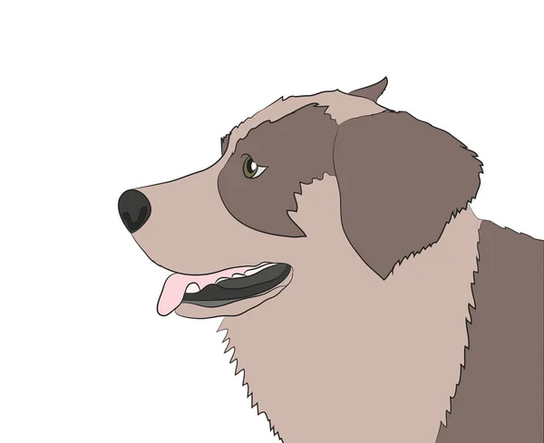 Profile Portret Van Een Hond Neerkijken Vector Witte Achtergrond — Stockvector