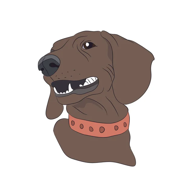 Portrét Profilu Pes Jezevčík Pohled Dolů Vektorové Bílé Pozadí — Stockový vektor