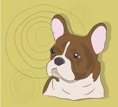 portre, bir Fransız buldozer, köpek, bir arka plan üzerinde vektör