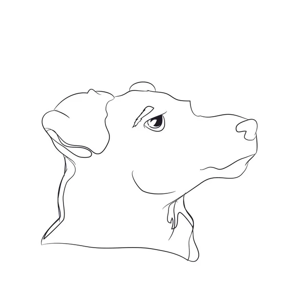 Портрет Собак Вкладиші Лінії Вектор Білий Фон — стоковий вектор
