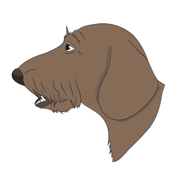 Profile Portrait Dog Dachshund Look Vector White Background — Stock Vector