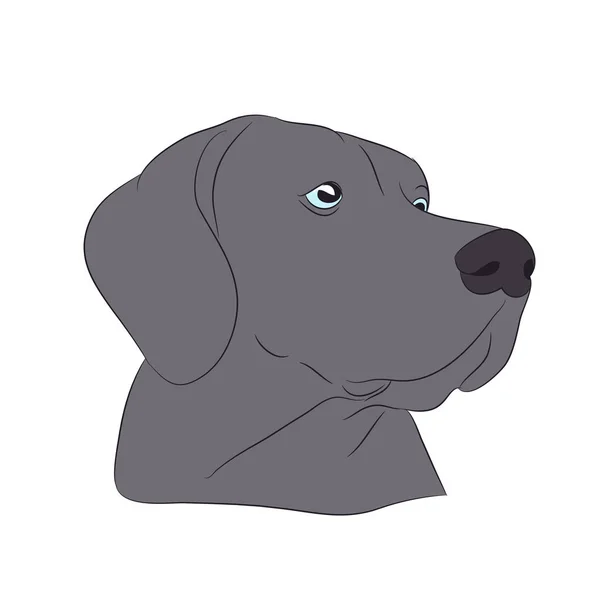Profil Portret Psa Spojrzeć Dół Tło Wektor Biały — Wektor stockowy