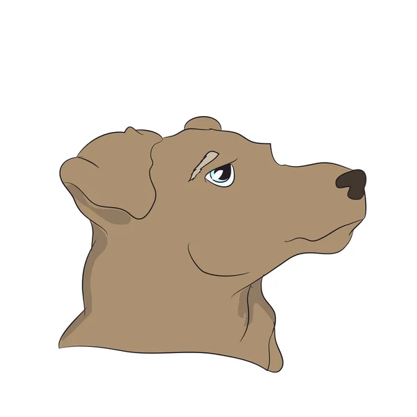 Profile Portret Van Een Hond Neerkijken Vector Witte Achtergrond — Stockvector