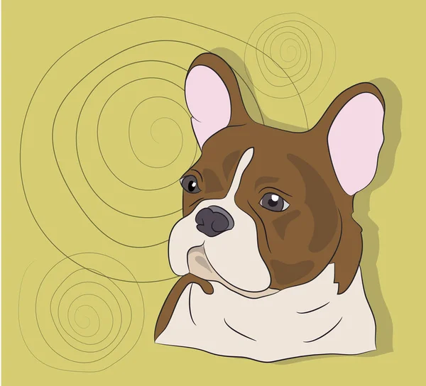 Портрет Французький Бульдог Собака Фоні Векторні — стоковий вектор