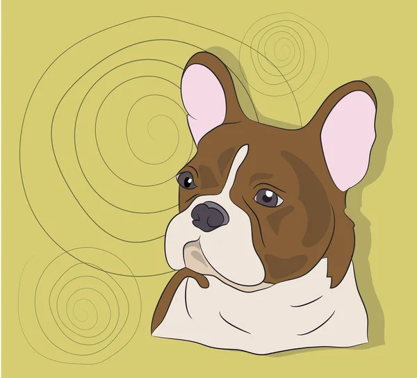 portre, bir Fransız buldozer, köpek, bir arka plan üzerinde vektör