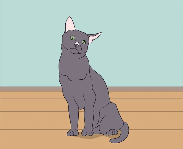 部屋に座っている緑目と灰色の猫 ベクトル — ストックベクタ