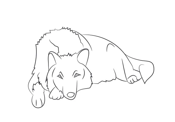 Wolf Lies Lines Vector White Background Wolf Lies Lines Vector — Stock Vector