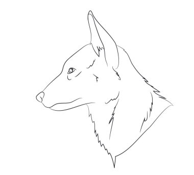 kurt dikey çizgiler, görme, vektör, beyaz arka plan