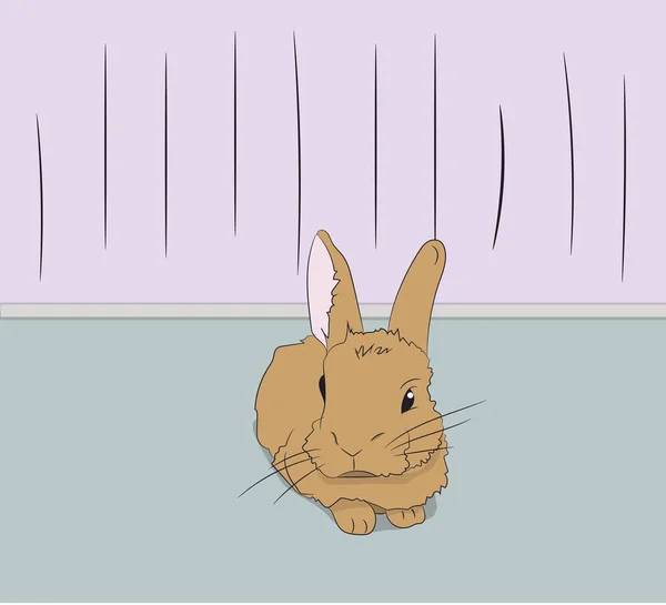 Милый Кролик Сидит Комнате Вектор — стоковый вектор
