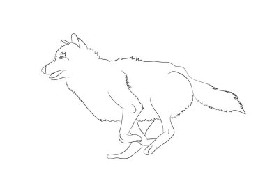 kurt çalışır, görüntü çizgiler, vektör, beyaz arka plan