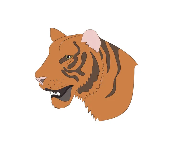 Portrait Orange Tiger Vector White Background — Stock Vector