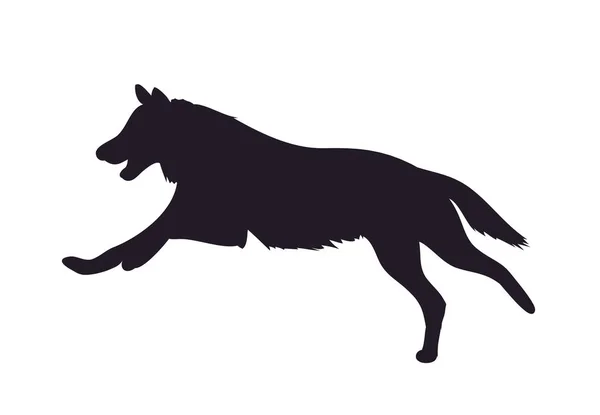 実行イメージのシルエット ベクター 白い背景をオオカミします — ストックベクタ