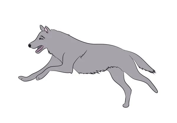 Wolf Runs Cor Imagem Vetor Fundo Branco —  Vetores de Stock