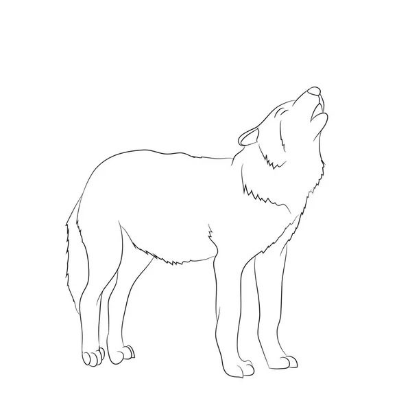 Wolf Howls Image Lines Vector White Background — Stock Vector