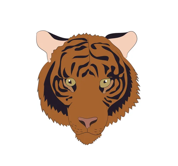 Porträt Eines Orangefarbenen Tigers Vektor Weißer Hintergrund — Stockvektor