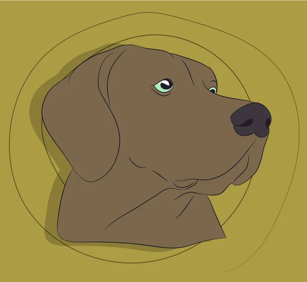 Retrato Perro Fondo Pared Vector — Archivo Imágenes Vectoriales