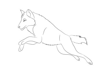 kurt çalışır, görüntü çizgiler, vektör, beyaz arka plan