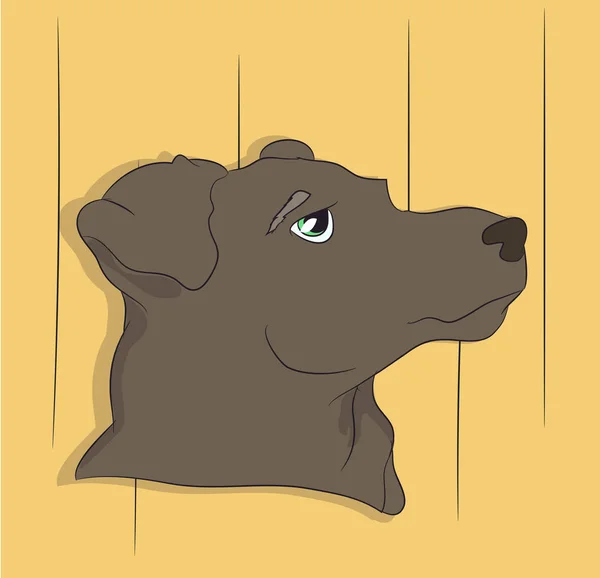 Porträt Eines Hundes Auf Dem Wandhintergrund Vektor Sieht Aus — Stockvektor