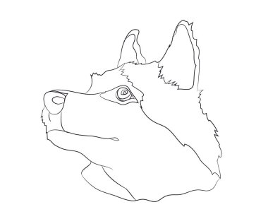 köpek portre Ines, çizgiler, vektör, beyaz arka plan