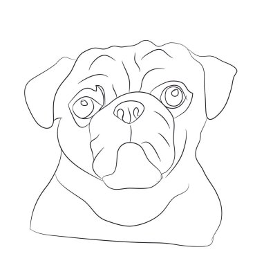 köpek portre Ines, çizgiler, vektör, beyaz arka plan
