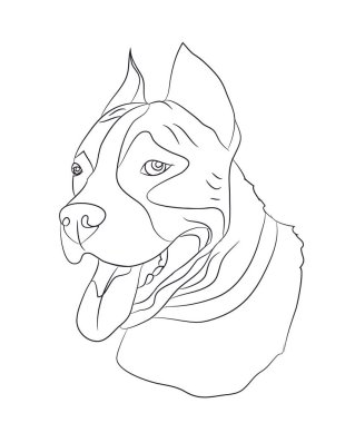 köpek portre Ines, çizgiler, vektör, beyaz arka plan
