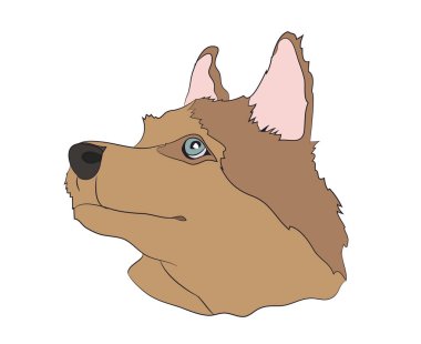 bir köpek portre profil, vektör, beyaz arka plan aşağı, bak