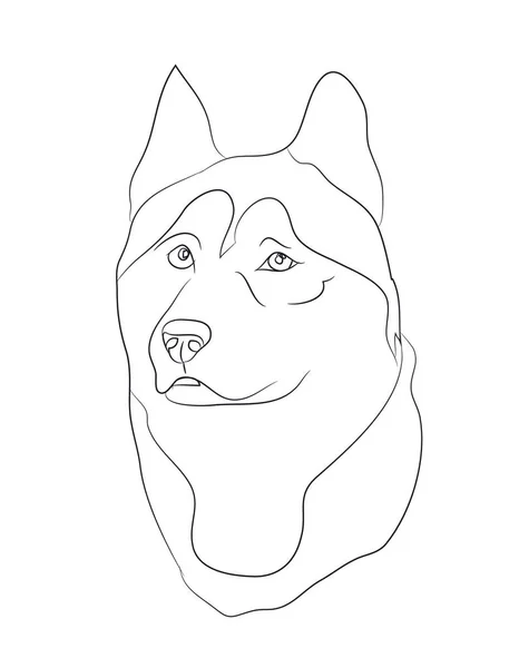 Hundeporträt Linien Vektor Weißer Hintergrund — Stockvektor