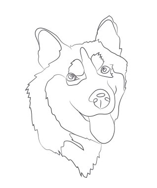 köpek portre Ines, çizgiler, vektör, beyaz arka plan