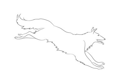 köpek çizgiler, vektör, beyaz arka planda çalışan, vektör