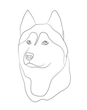 köpek portre Ines, çizgiler, vektör, beyaz arka plan