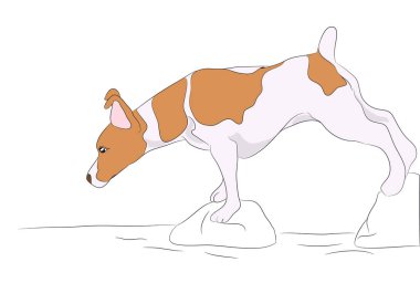 köpek olduğunu bir kahverengi vektör, beyaz adam