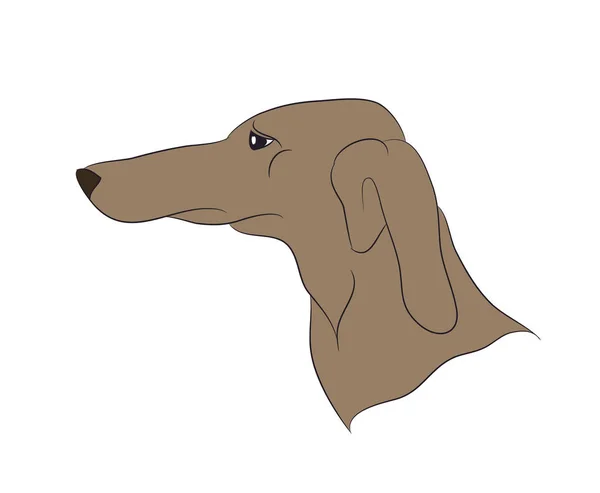 Profil Portrét Psa Podívej Dolů Vektorové Bílé Pozadí — Stockový vektor