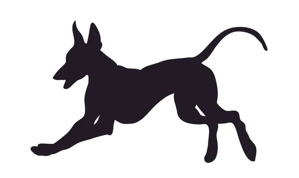 Dog Runs Silhouette Vector White Background Vector — Stock Vector