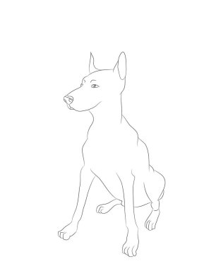 köpek oturma, vektör, beyaz arka plan