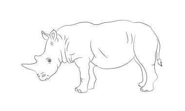 çizim çizgileri, vektör, beyaz arka plan değer gergedan