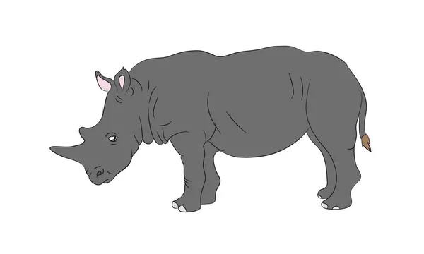 Rhinocéros Gris Digne Dessin Vecteur Fond Blanc — Image vectorielle