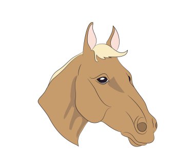 at portre vektör, beyaz arka plan, at portre vektör, beyaz arka plan