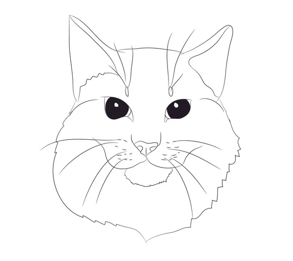 Gato Retrato Líneas Vector Fondo Blanco Gato Retrato — Archivo Imágenes Vectoriales