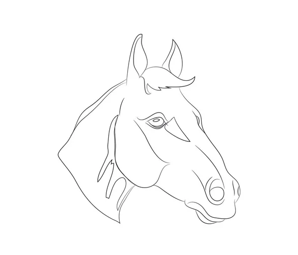 Pferd Portrait Drawin Pferd Portrait Drawin — Stockvektor