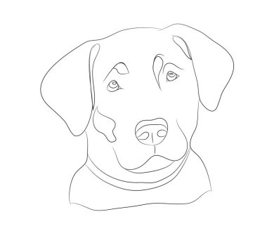 köpek portre Ines, çizgiler, vektör, beyaz arka plan