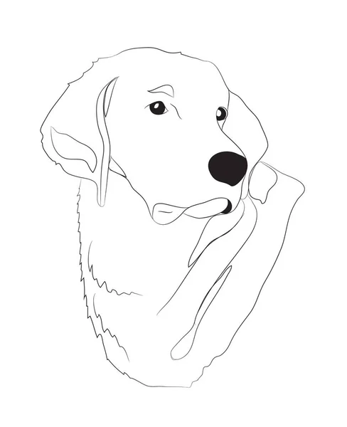 Köpek Portre Ines Çizgiler Vektör Beyaz Arka Plan — Stok Vektör