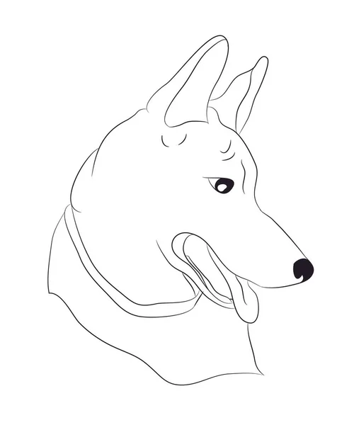Hundeporträt Linien Vektor Weißer Hintergrund — Stockvektor