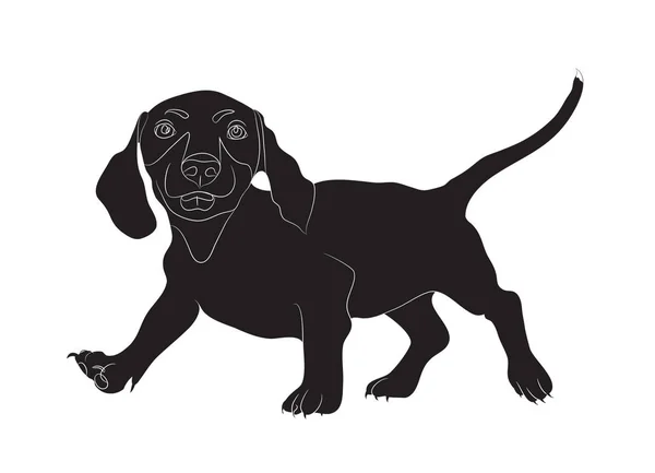 Dachshund Stands Chien Silhouette Vecteur Fond Blanc — Image vectorielle