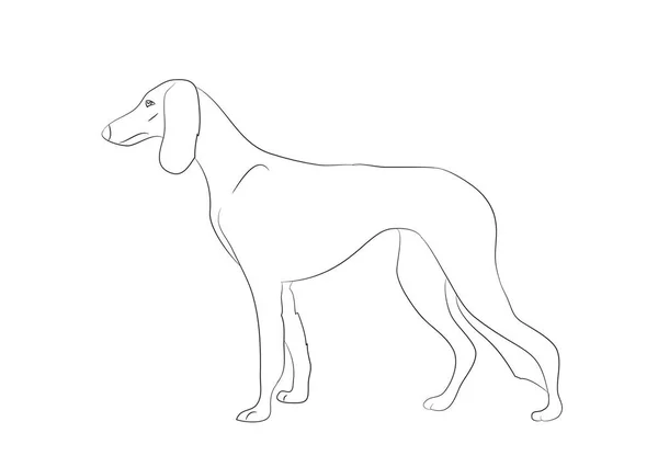 Chien Stands Lignes Vecteur Fond Blanc Chiens Stands — Image vectorielle