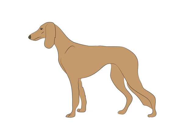 Perro Vector Marrón Fondo Blanco — Archivo Imágenes Vectoriales