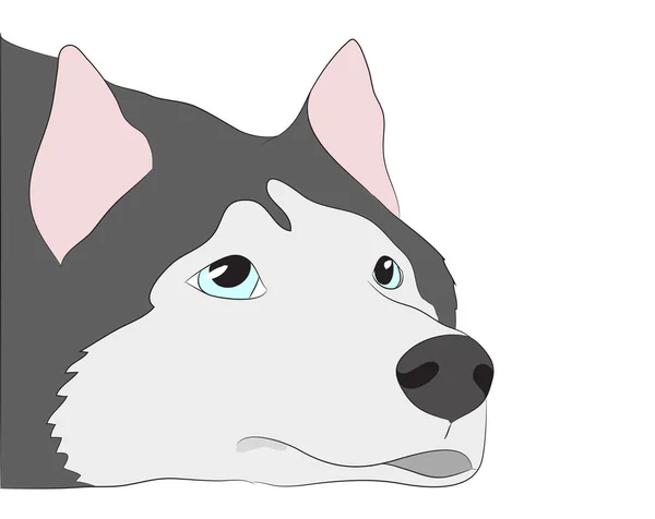 Perfil Retrato Perro Mirar Hacia Abajo Vector Fondo Blanco — Archivo Imágenes Vectoriales