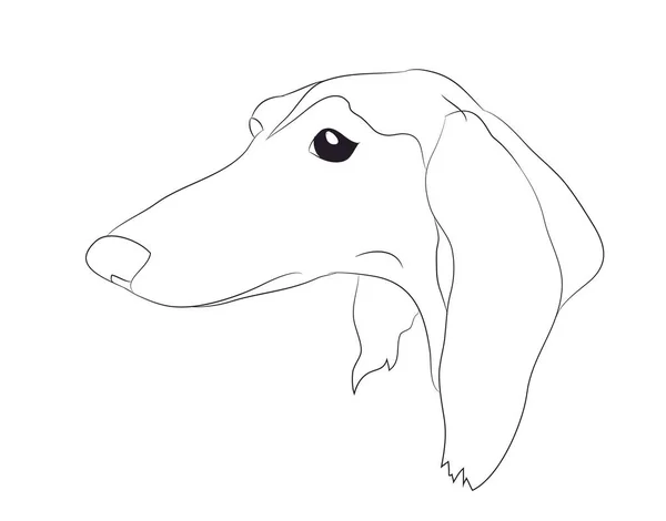 Dog Portrait Ines Lines Vector White Background — Stock Vector