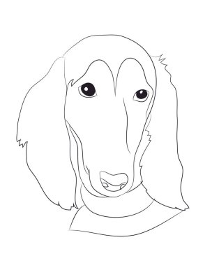 Köpek portresi çizgiler, vektör, beyaz arkaplan